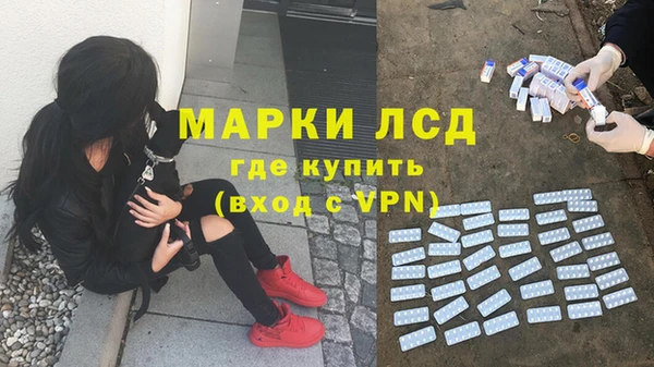 гашик Алзамай