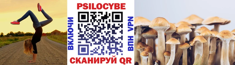 мега как войти Южно-Сахалинск Псилоцибиновые грибы Cubensis